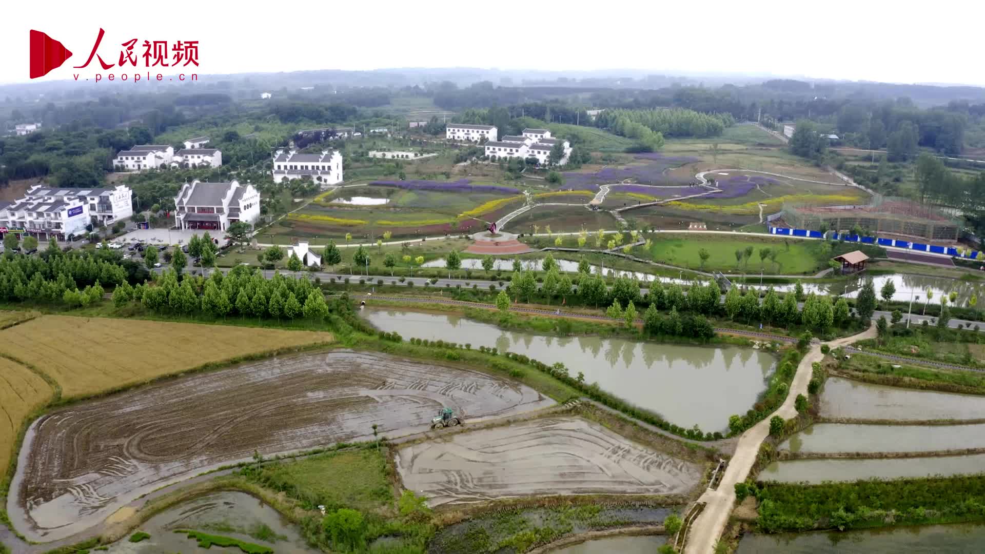河南篇 东岳老杨脱贫记