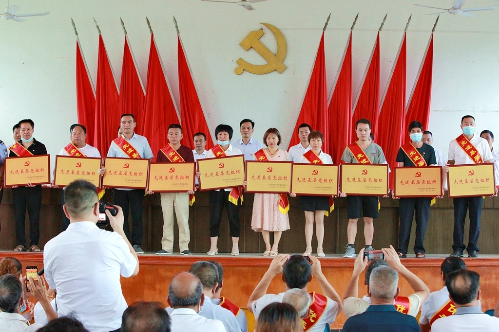 羊角塘镇召开庆祝建党100周年暨党建工作总结表彰会