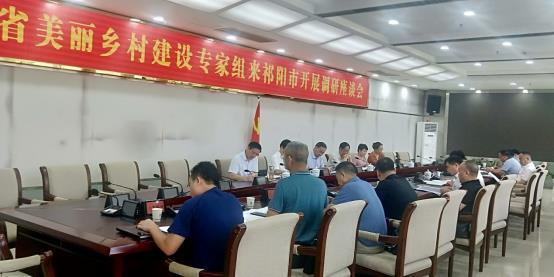 省专家组来祁阳调研美丽乡村建设