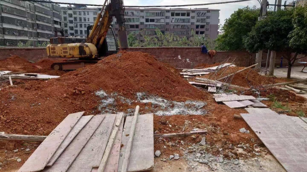 自然资源局依法拆除未批先建类住房