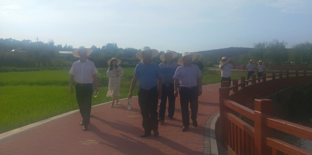 怀化市高标准农田建设观摩团到我市观摩