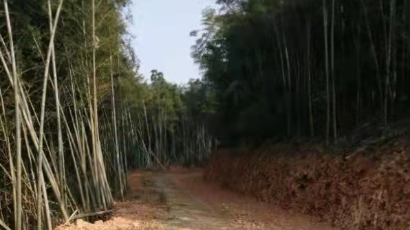 祁阳：“十四五”开局之年乡村产业路步入快车道