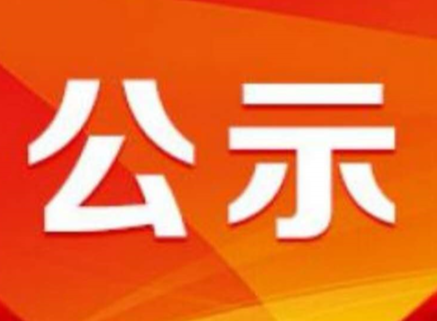 干部任前公示公告