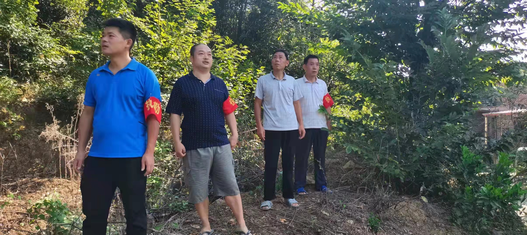 潘市镇：围绕“三个三”  规范油茶采摘秩序