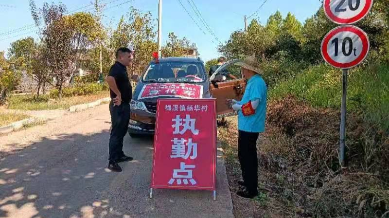 祁阳市梅溪镇：规范采摘秩序  助力油茶丰收