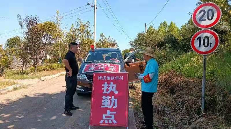 梅溪镇：规范采摘秩序  助力油茶丰收