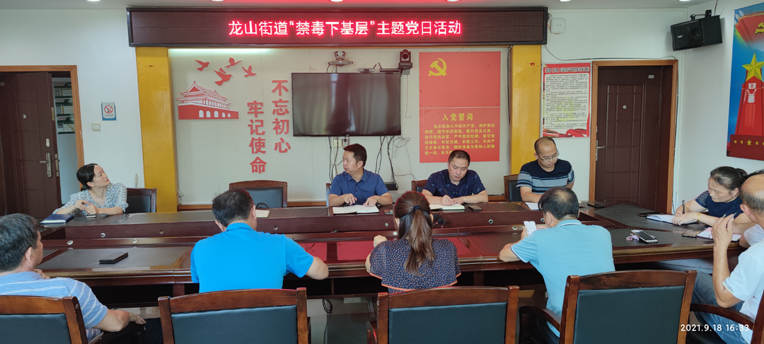 龙山街道：坚持党建引领，筑牢禁毒防线