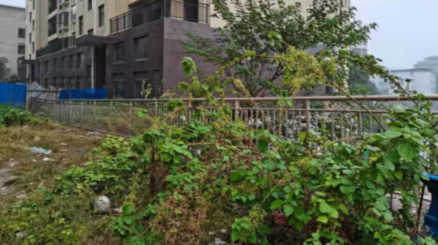 我为群众办实事：祁阳市信访局为社区解决安全隐患