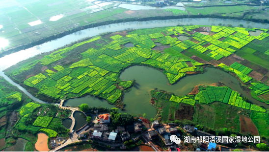 祁阳市浯溪湿地入列第二批省级重要湿地名录！