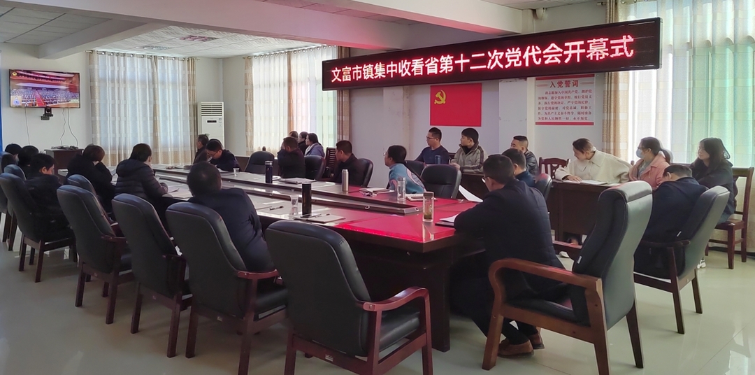 文富市镇组织集中收听收看湖南省第十二次党代会开幕式