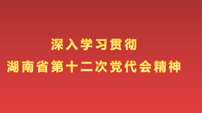 深入学习贯彻湖南省第十二次党代会精神专题