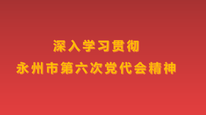 深入学习贯彻永州市第六次党代会精神专题