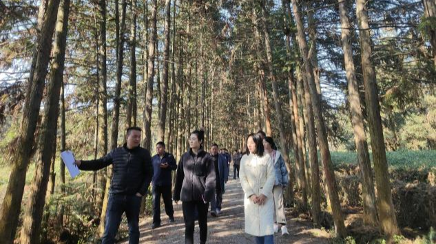 央视《记住乡愁》摄制组来祁进行拍摄前期调研