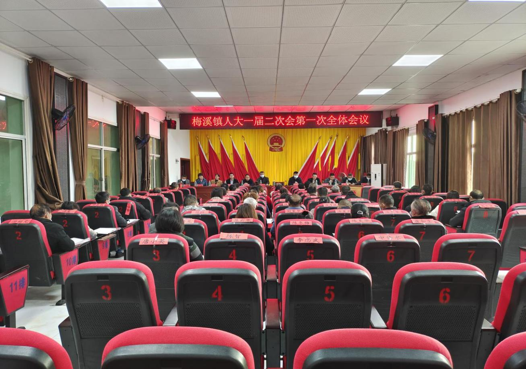 祁阳市梅溪镇一届人大二次会议胜利召开