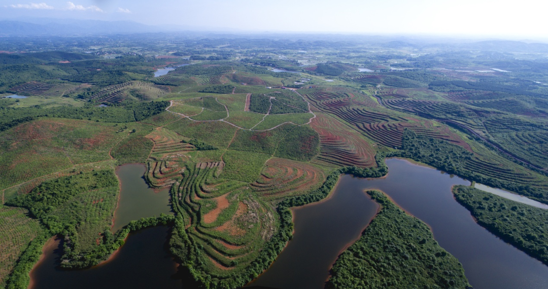 喜讯！唐家山油茶文化园成功创建为国家3A级景区