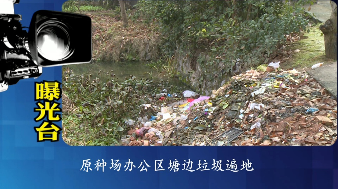 曝光台:推进文明创建 提升城市"颜值"
