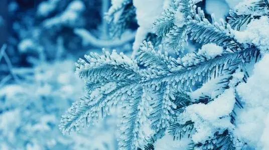 迎战低温雨雪天气