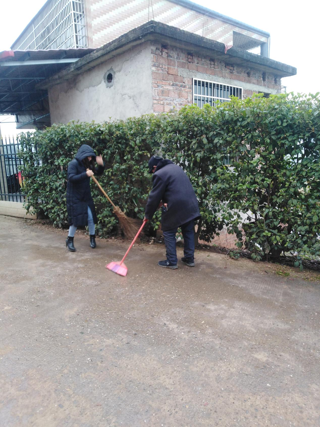 白水镇：党员组长齐上阵  清洁环境迎春节