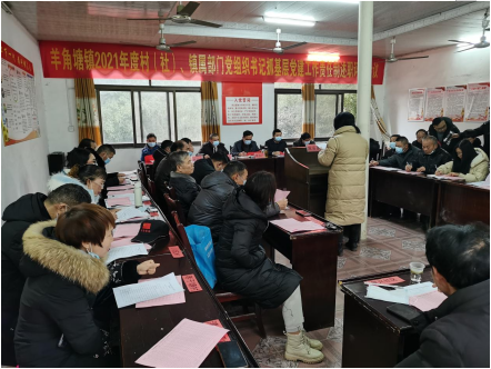 羊角塘镇召开2021年度基层党组织书记抓基层党建责任制述职评议大会