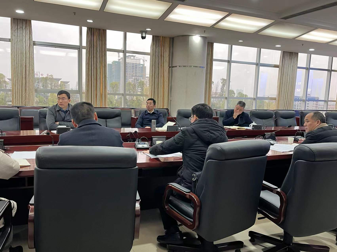 祁阳市2022年项目储备会召开