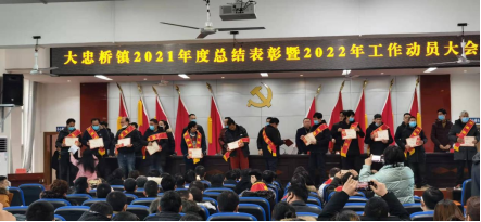 大忠桥镇：种粮标兵受表彰