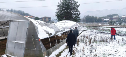 祁阳市农业农村局成立20个农业生产工作组开展灾情核查和指导抗灾救灾工作