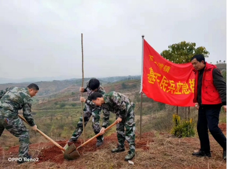 下马渡镇：种一抹绿色  还一片春色
