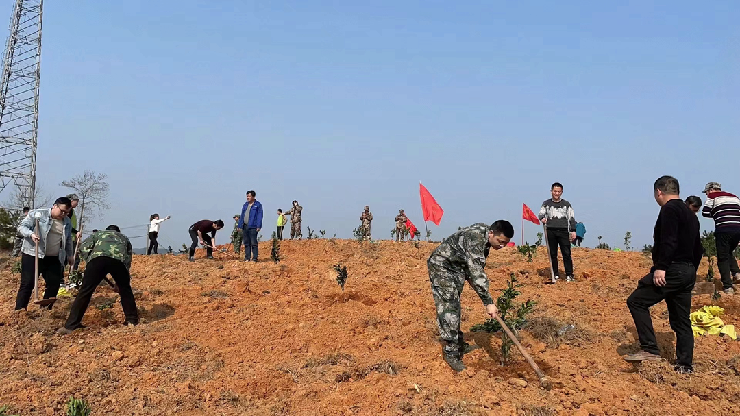 羊角塘镇：干群义务齐植树 山坡种下“致富林”