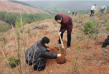 文明铺镇开展机关干部义务植树活动