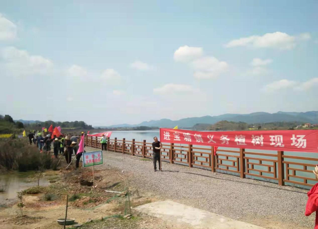 进宝塘镇：植树添新绿 生态乡村美