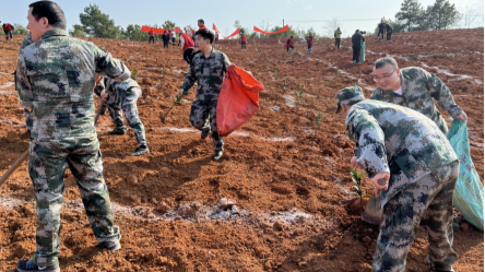 观音滩镇：基干民兵为美好充“植”