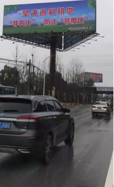 祁阳市：多措并举 守好耕地保护底线红线