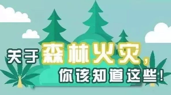 永州启动森林火险红色预警响应