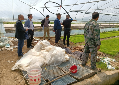 文富市镇稳保粮食生产 把春耕服务送到田间地头