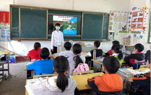 祁阳市肖家完小开展“预防野生蘑菇中毒”主题班会