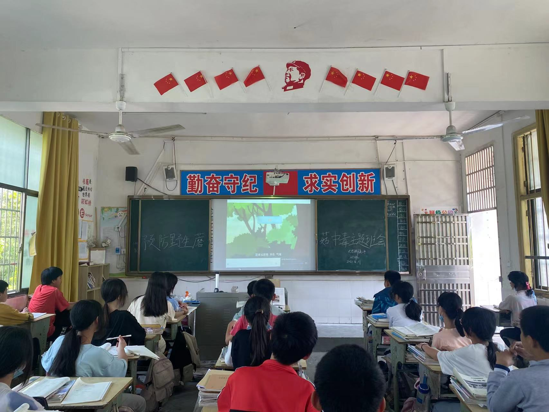 大忠桥镇一中：珍爱生命 拒食毒蘑菇