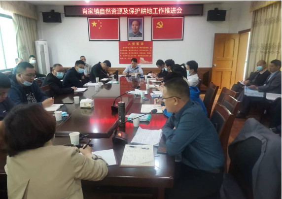 肖家镇召开自然资源和耕地保护推进会