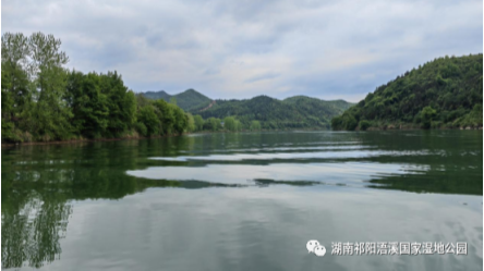 祁阳浯溪国家湿地公园管理局开展全面监督工作专项行动