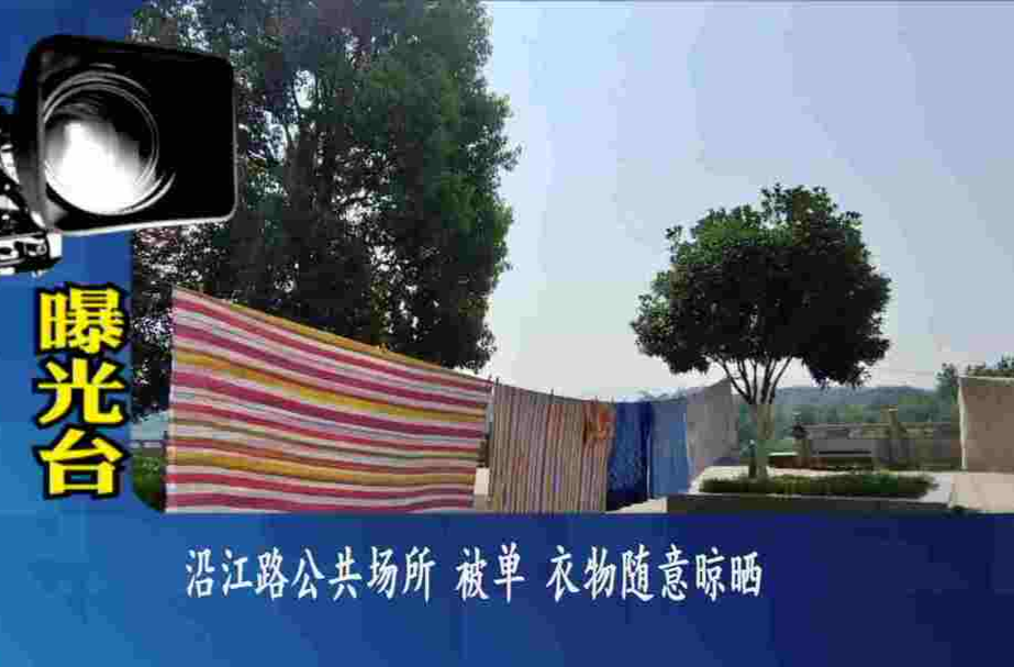 曝光台：推进文明创建  提升城市“颜值”