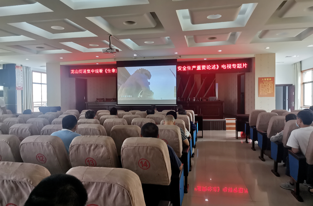 龙山街道组织观看《生命重于泰山--习近平总书记关于安全生产重要论述》电视专题片