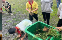 大忠桥镇白合小学开展“五一国际劳动节”主题系列活动
