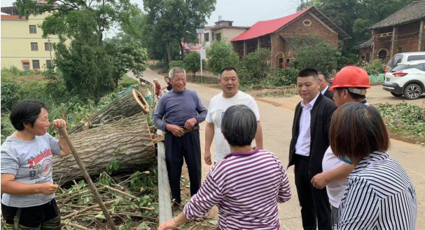 祁阳 ：道路排查除隐患 伐树修枝护民安