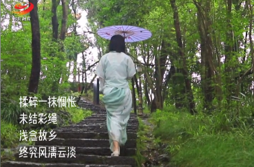 浅念故乡，丝丝惆怅，“粽”是难忘，唯愿，端午安康 ！