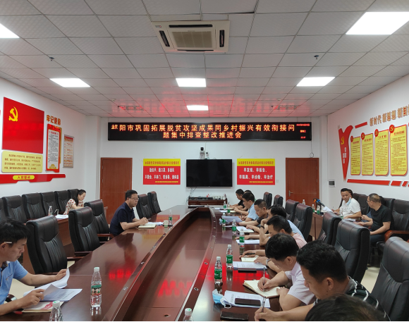 祁阳卫健行业召开巩固拓展脱贫攻坚成果同乡村振兴有效衔接问题集中排查整改推进会