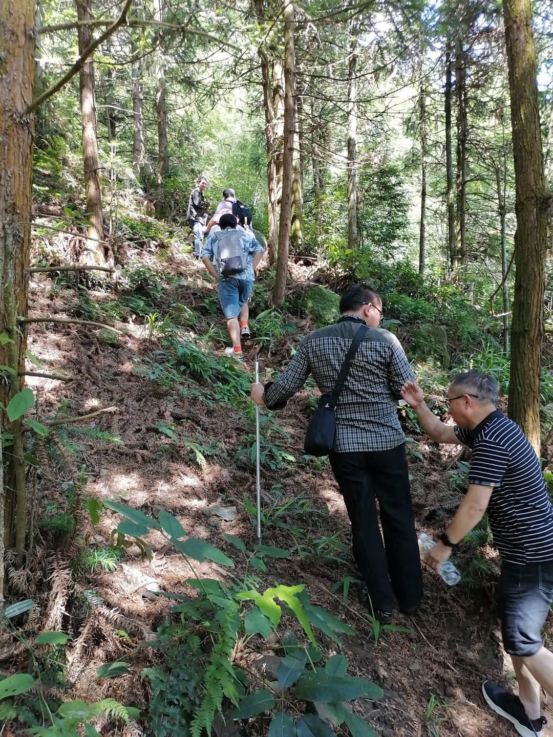 大江省级自然保护区开展生物多样性野外调查