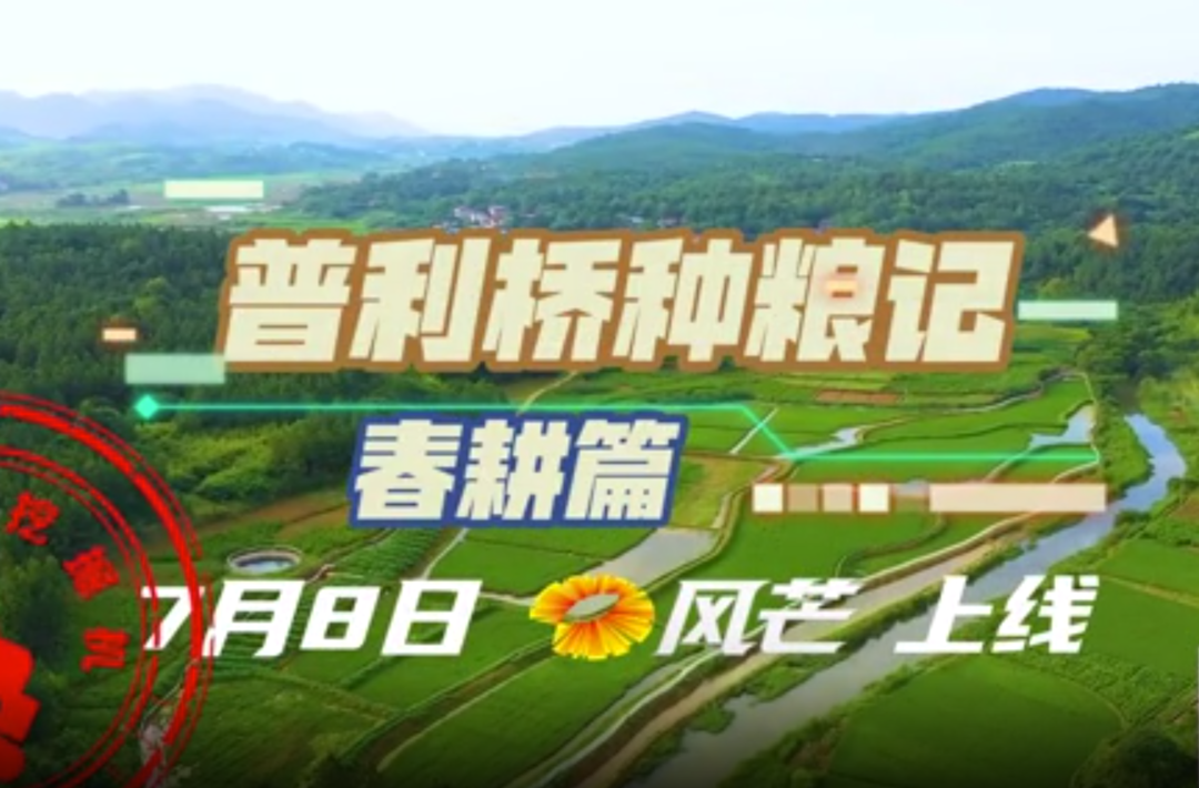 普利桥种粮记春耕篇 第六集