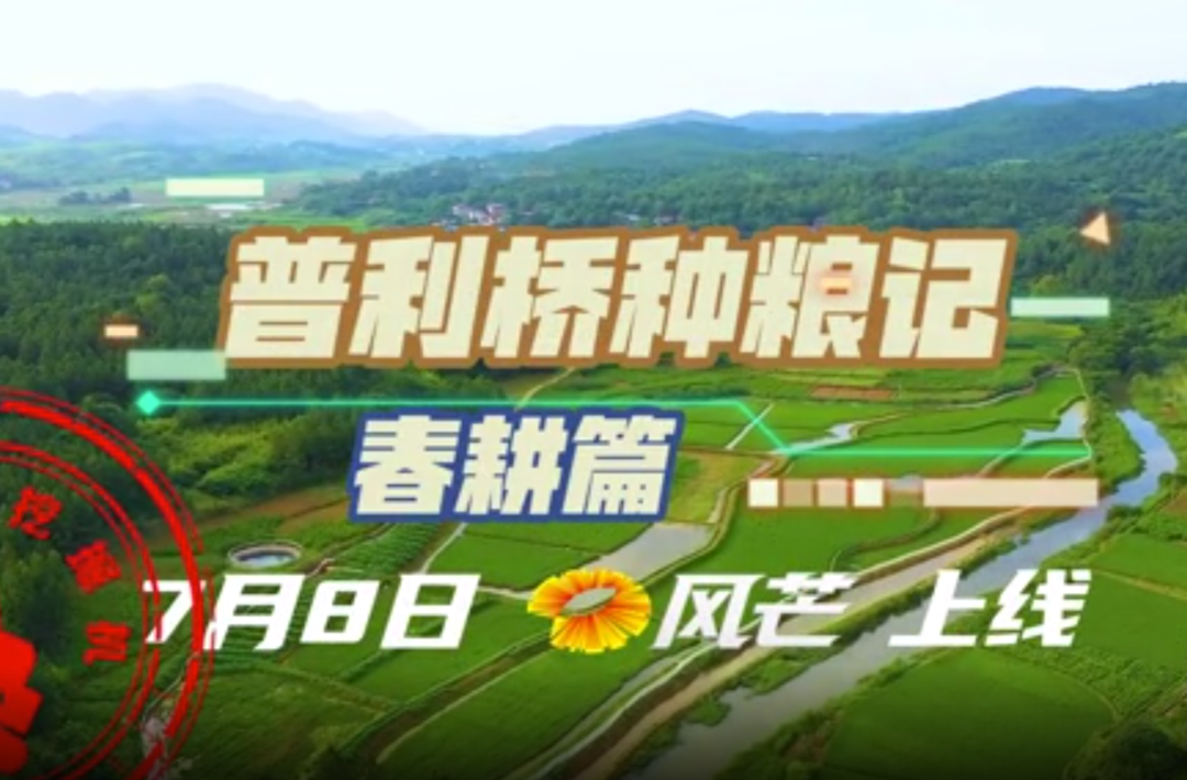 普利桥种粮记春耕篇 第四集