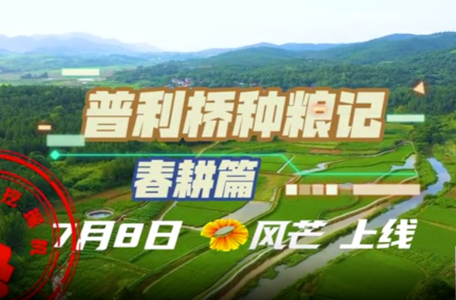 普利桥种粮记 带你换个口味追剧