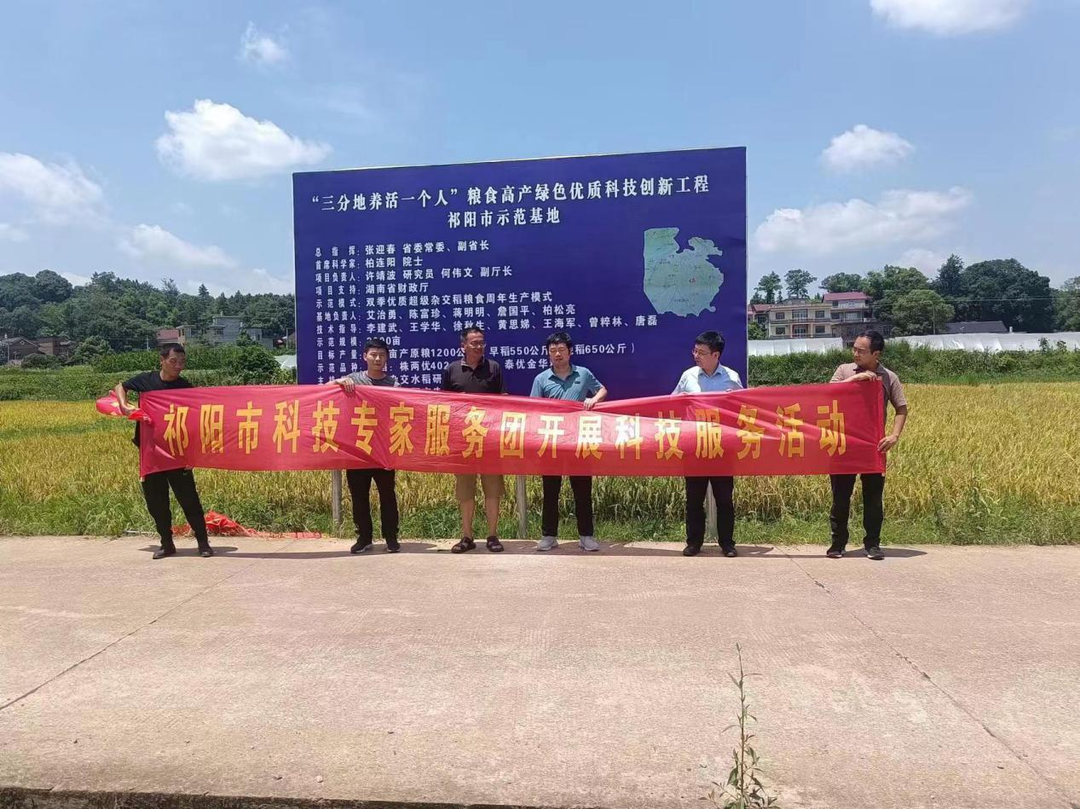 “科技助农”——打造粮食高产新引擎