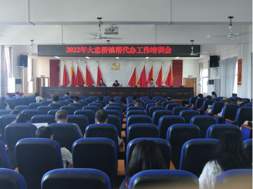 大忠桥镇开展村级帮代办员业务培训会